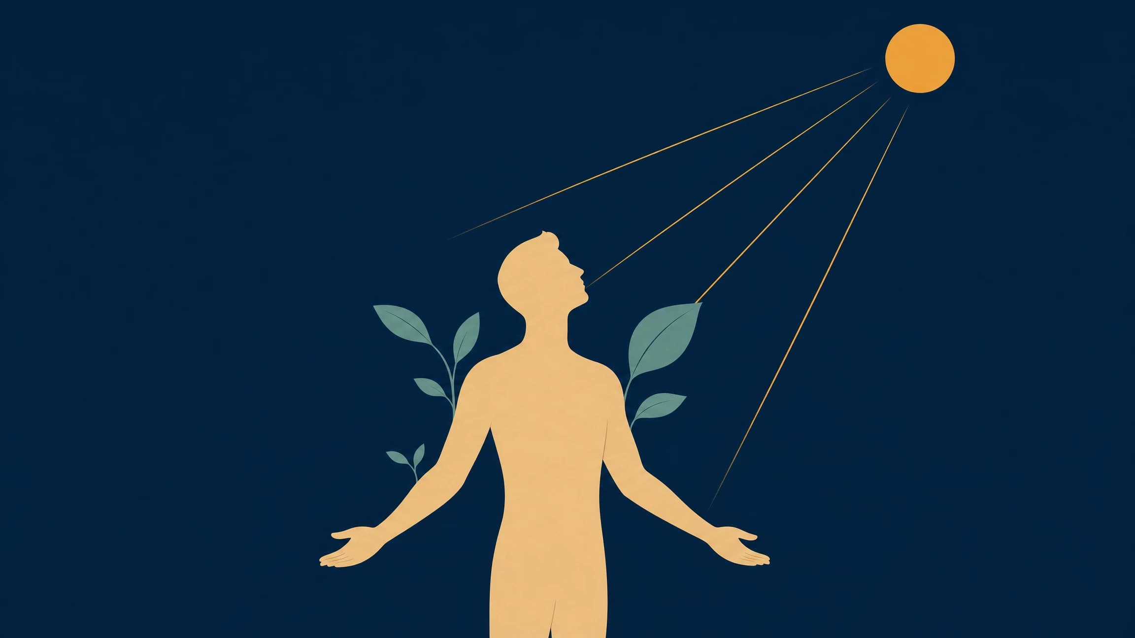 Minimalist editorial illustration of a human silhouette with leaves and sunlight, symbolizing photosynthesis